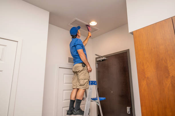 Best Dryer Vent Cleaning Services  in Lamoni, IA